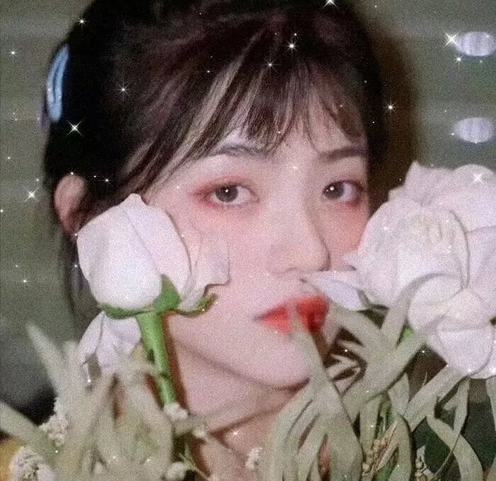 猴子捞月